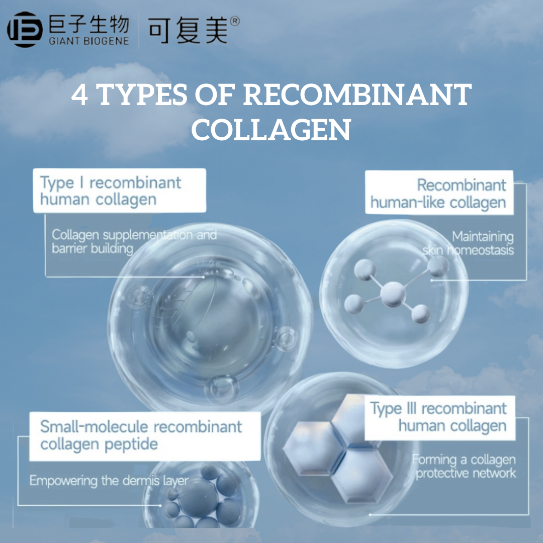Recombinant Collagen Restoration Single Use Essence